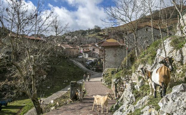 Tresviso, el municipio de España donde más ha llovido en la noche del sábado