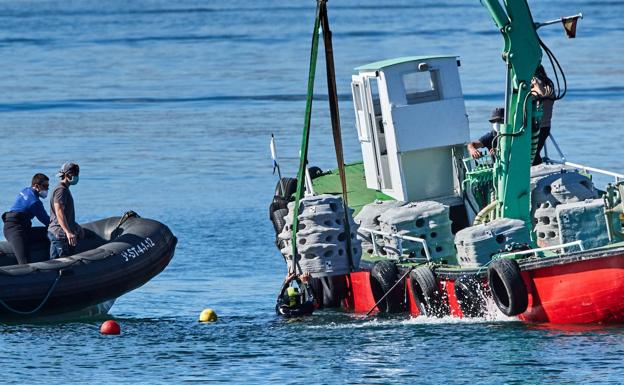 La biodiversidad de la bahía de Santander crece gracias a los arrecifes artificiales