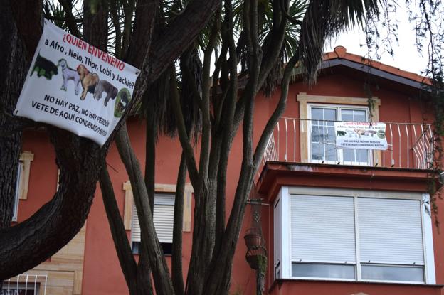 Investigan a un hombre por envenenar a cinco perros en el barrio Rivas, en Guarnizo
