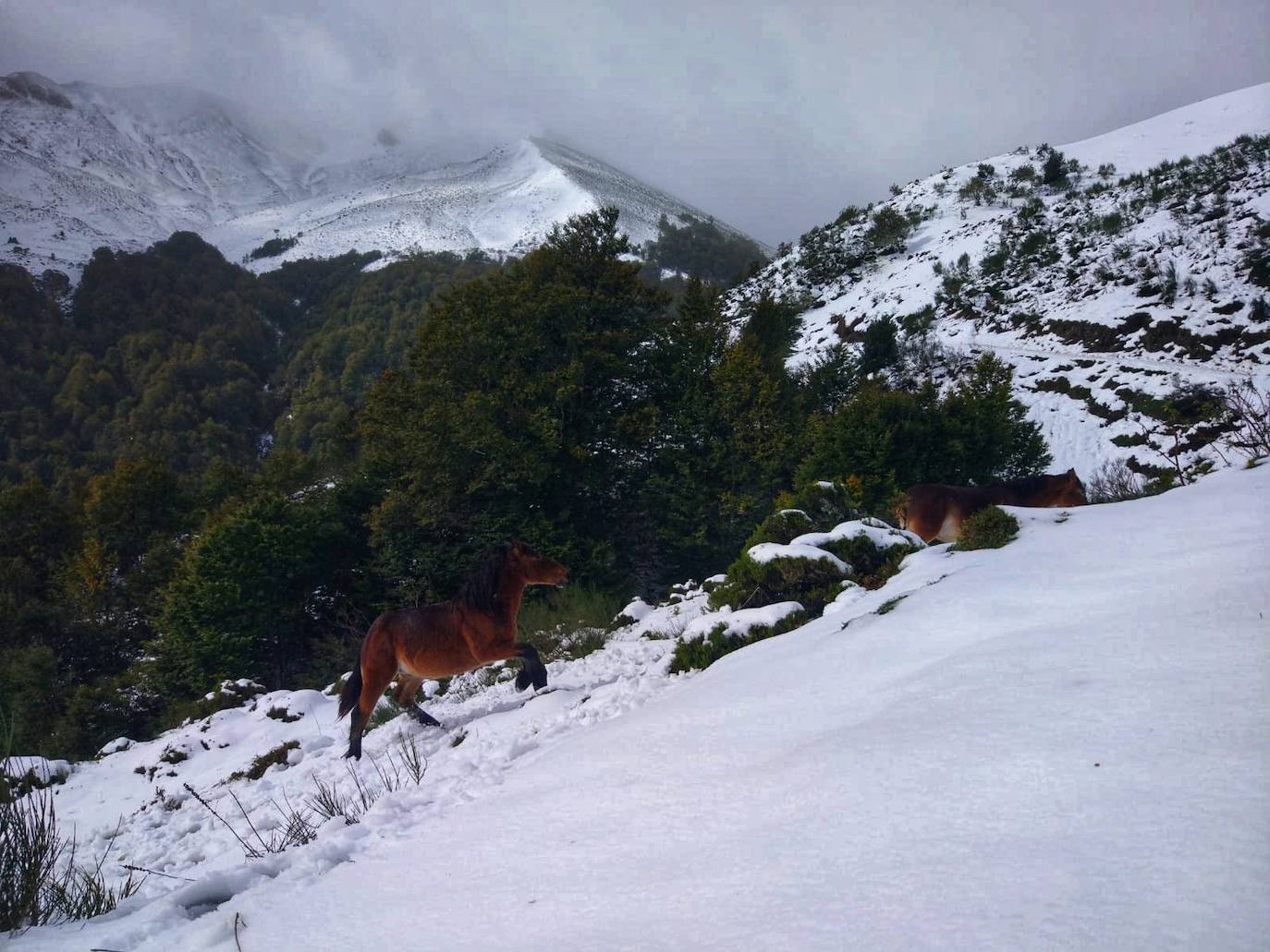 Nieve en Picos de Europa