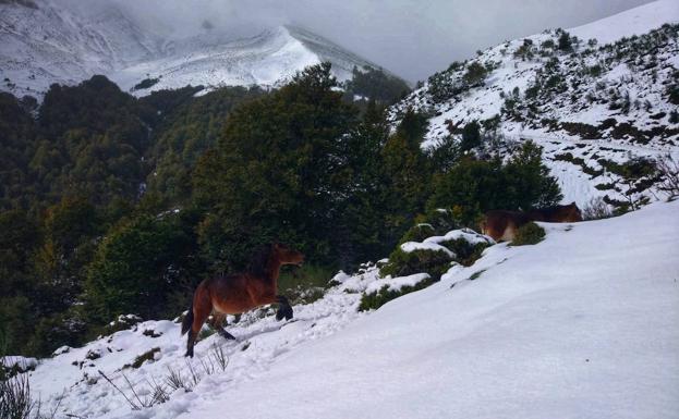 Primeras nieves de otoño en Picos de Europa