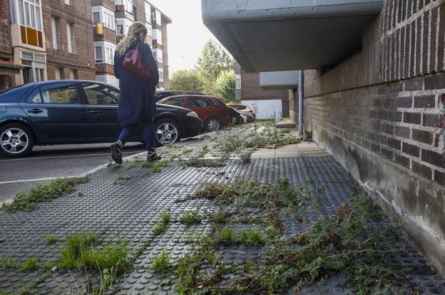 «Nos van a comer los matorrales»