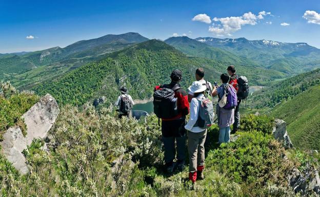 El Parque Natural Saja-Besaya incidirá en la lucha contra las plantas invasoras