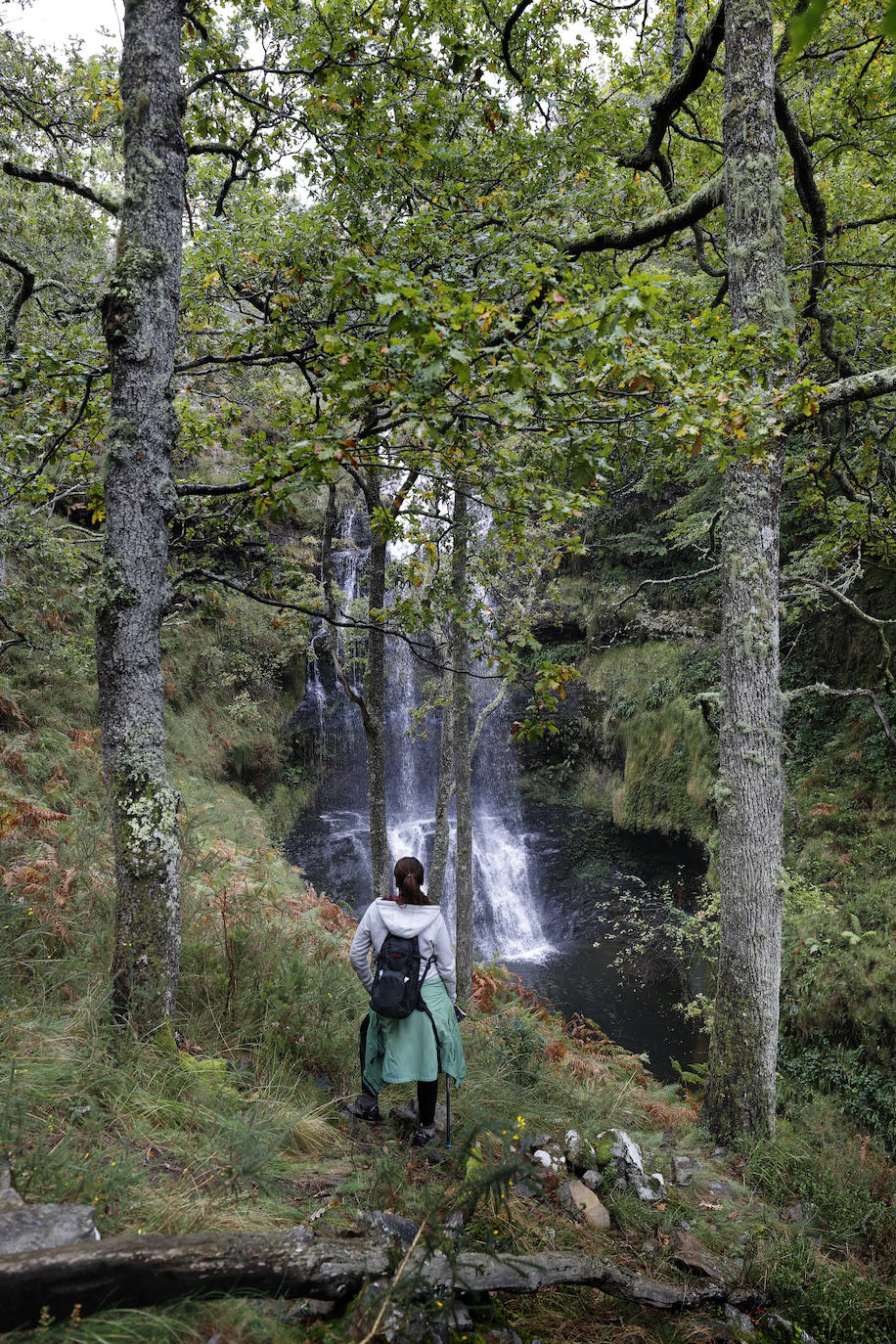 Ruta de las cascadas en Viaña (Cabuérniga)