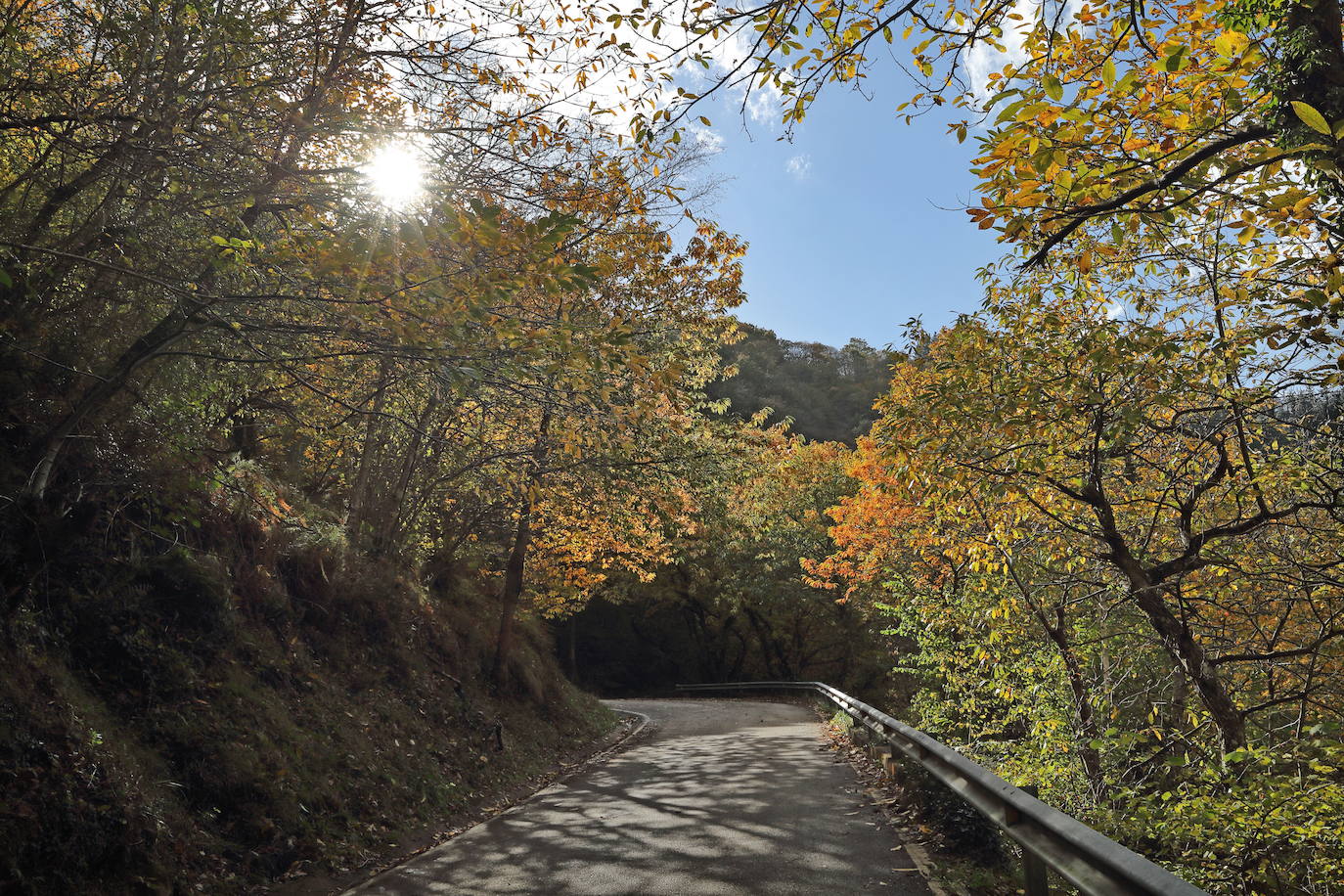 Otoño, en los montes de Cantabria