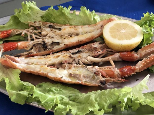 Acuario, la excelencia del mar Cantábrico