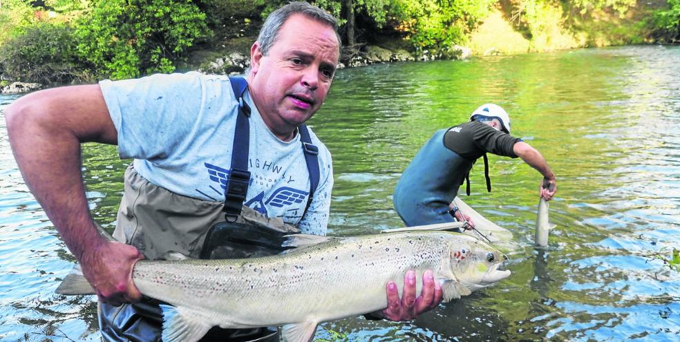 Los salmones remontan en el Pas