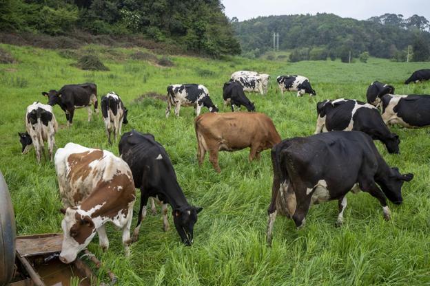 Cantabria se mantiene a la expectativa tras el acuerdo «histórico» sobre la PAC