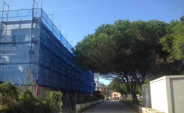 Comillas restaurará la zona de los pinares aledaña a la playa