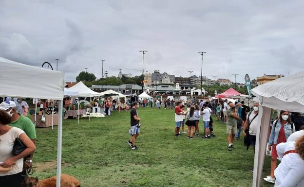 Mercado de productos y artesanía, este fin de semana en Sarón