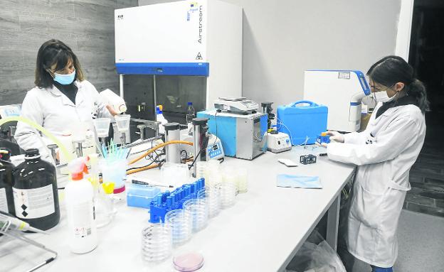 Talento empresarial cántabro frente al covid