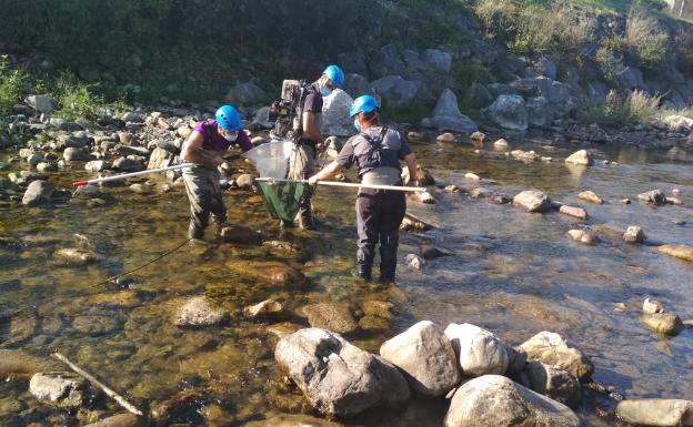 La Confederación Hidrográfica garantiza el buen estado del río Los Llares en Arenas de Iguña