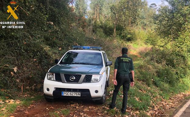 La Guardia Civil investiga a un hombre por cobrar una tala de monte que no era de su propiedad