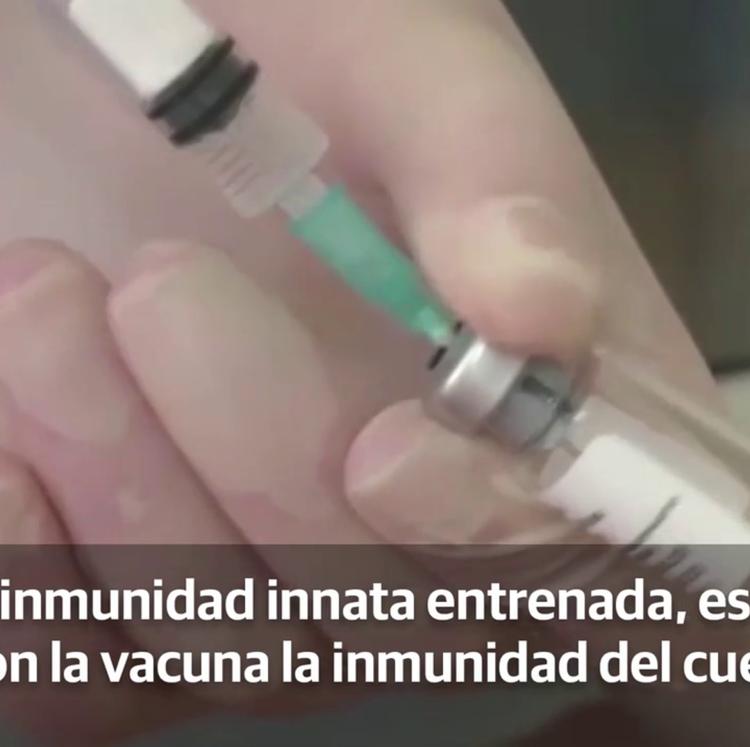 Las vacunas españolas en la carrera contra el coronavirus