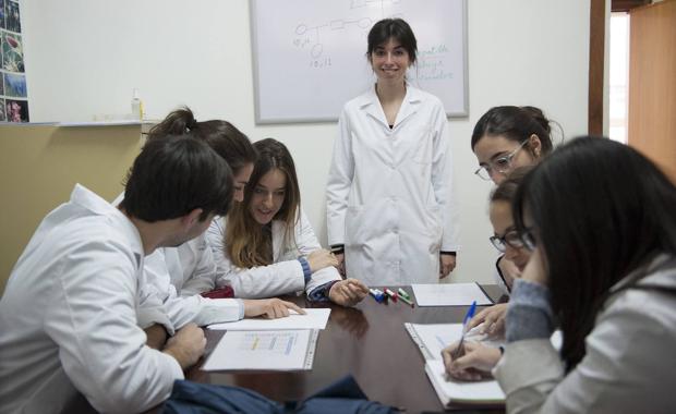 13 alumnos de la UC participan en el Curso de Capacitación para la Incorporación al Mundo Laboral