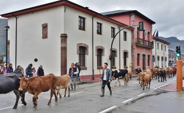 San Felices mantiene las mismas tasas de hace 21 años