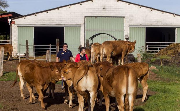 Esta semana se abonan las ayudas de la PAC a más de 4.000 ganaderos y agricultores, que se repartirán 19,3 millones de euros