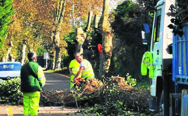 El arreglo de la carretera de Loredo a Langre seguirá adelante con una tala «mínima»