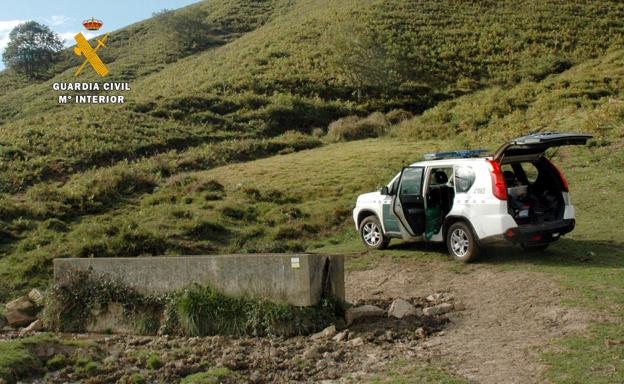 La Guardia Civil investiga a dos hombres por un presunto envenenamiento de ganado en Villasuso