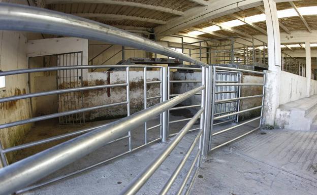El Ayuntamiento dice que la Inspección de Trabajo permite la reapertura del matadero