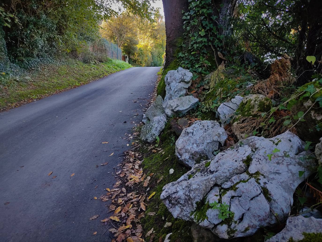 Un paseo por Peñas Negras