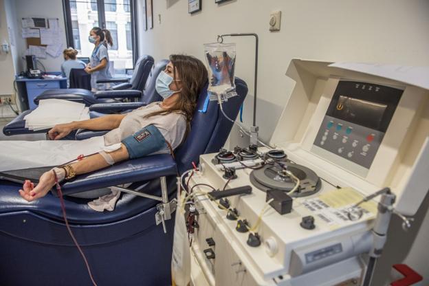 Los anticuerpos de antiguos pacientes covid pueden salvar a nuevos enfermos