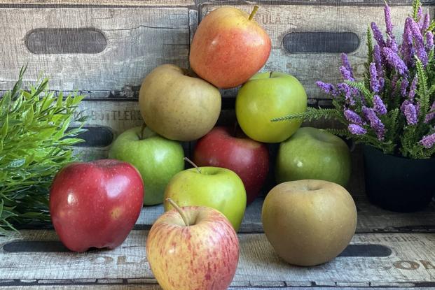 Cuatro ricos platos caseros con la manzana como ingrediente principal