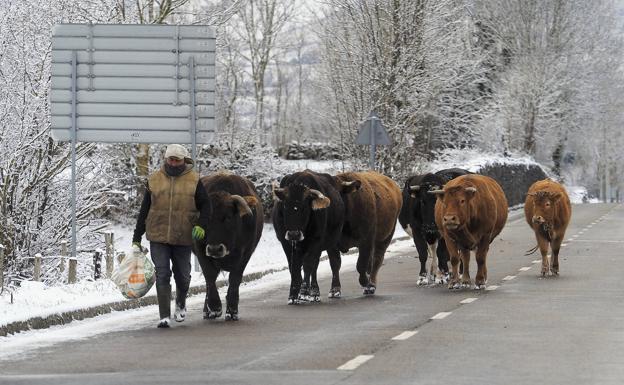 Nieva en Cantabria y el temporal activa la alerta por viento y oleaje