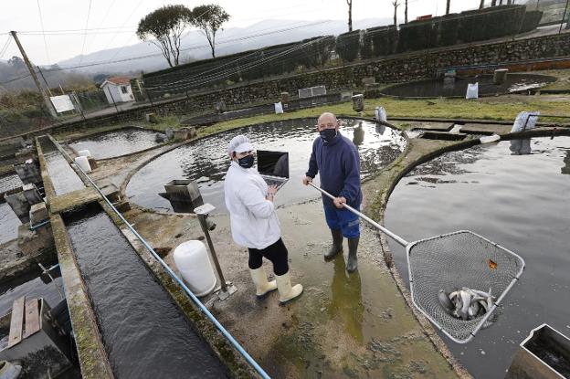 La Cantabria rural y despoblada sale de la exclusión digital