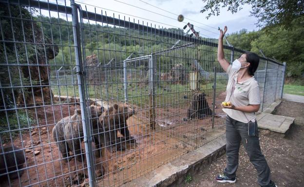 Reabren Cabárceno, El Soplao y el teleférico de Fuente Dé