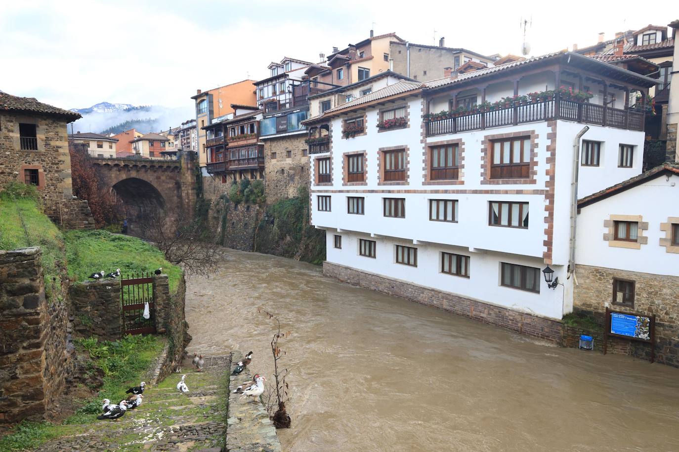 Los ríos Deva y Quiviesa inundan fincas y paseos fluviales en Potes