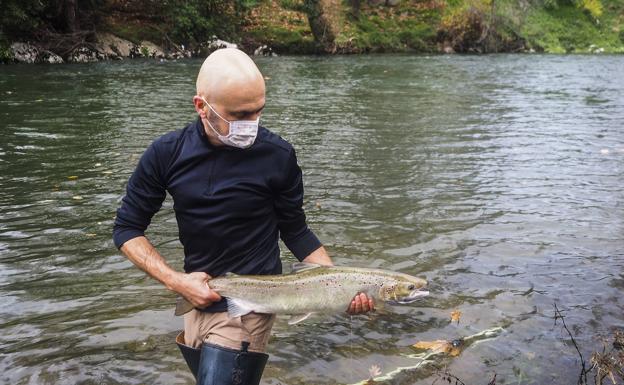 La campaña de control de salmón en el río Pas se salda con 170 ejemplares reproductores