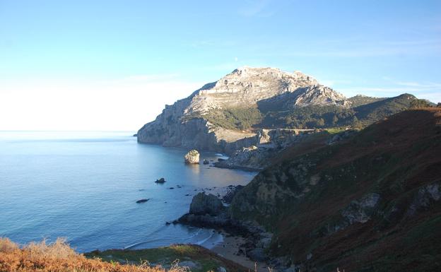 Jornadas virtuales sobre la conservación de la Montaña Oriental Costera