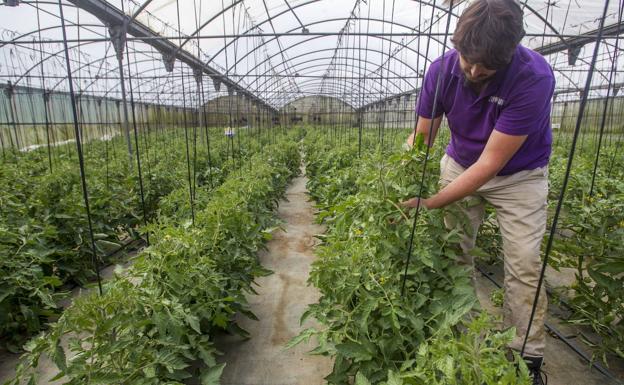 El Gobierno cántabro abona más de 5,3 millones de la PAC a 4.049 agricultores