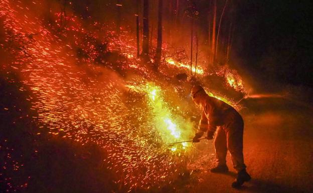 La prevención de incendios forestales contará con una subvención de casi un millón de euros