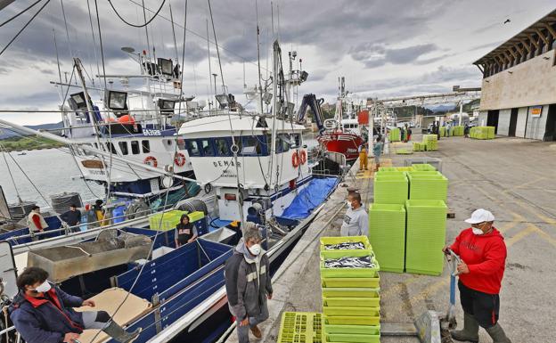 Cantabria pide al Gobierno un «esfuerzo especial» para mejorar las cuotas pesqueras