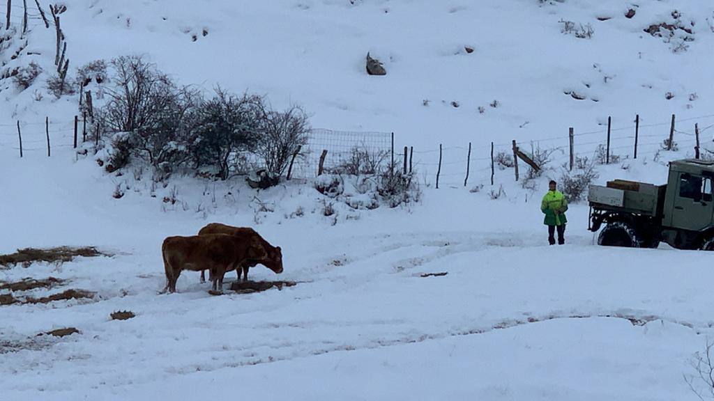 El temporal de frío y nieve da una pequeña tregua