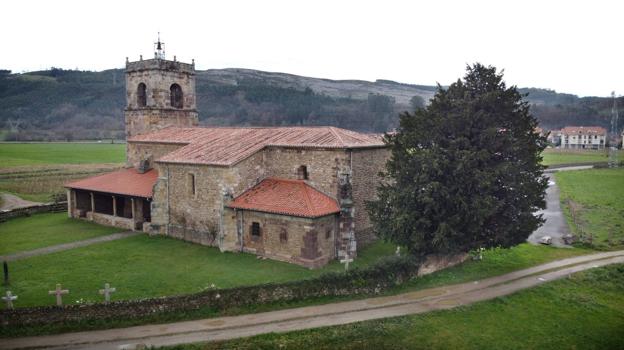 Preocupación en Casar de Periedo por la inclinación del tejo centenario