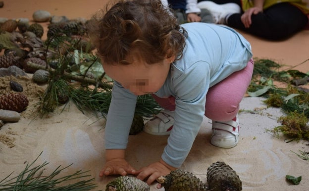 Piélagos pone en marcha las primeras 'Ecoescuelas' de Cantabria