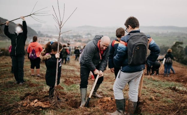 El 'Compromiso Verde' de Cartes suma 300 nuevos cerezos