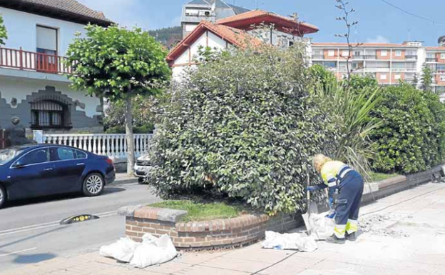 Un total de 35 castreños obtienen trabajo dentro de una nueva fase del programa de Corporaciones Locales