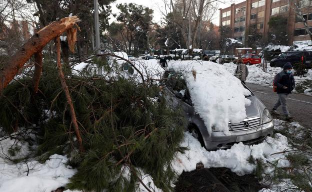 El alcalde de Madrid calcula el impacto de 'Filomena' en 1.400 millones