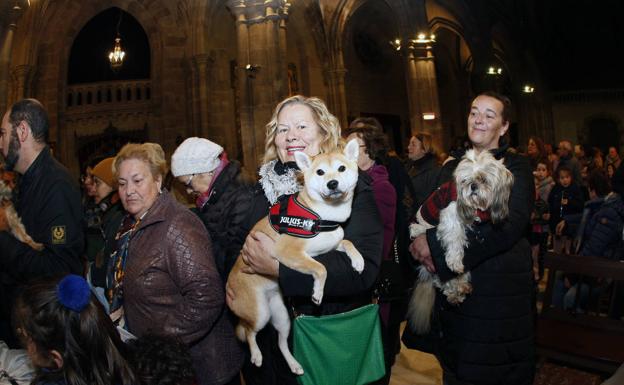 Las mascotas se quedan este año sin la bendición de San Antón