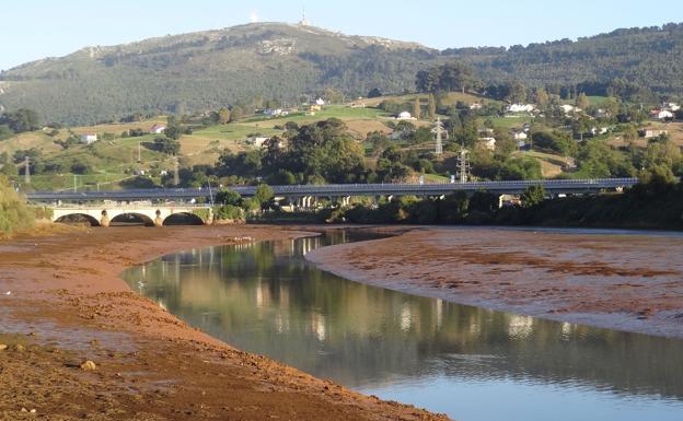 La Fundación Naturaleza y Hombre niega que se hayan talado árboles autóctonos en la Ría de Solía