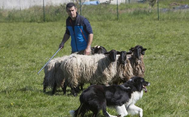 Cantabria quiere promover el pastoreo de montaña para generar riqueza en zonas despobladas