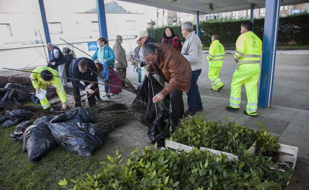 La campaña de repoblación forestal de Camargo duplica los ejemplares repartidos el año pasado