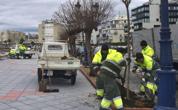 El juez investiga si el Ayuntamiento alteró el acuerdo con Parques y Jardines tras la subida del IVA en 2012