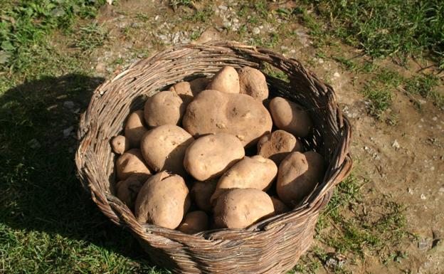 Todos los secretos de la patata de Valderredible, este domingo en el quiosco