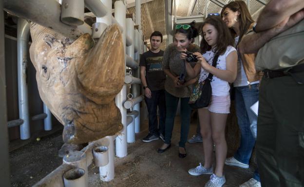 La 'Visita salvaje' de Cabárceno logra la Q de Calidad Turística