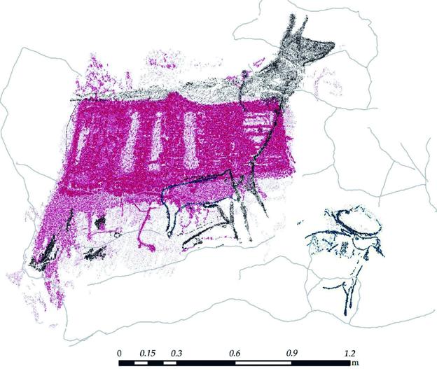 Salen a la luz nuevas figuras pintadas de animales en la cueva del Castillo